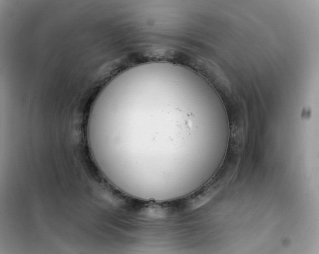 X0000102040416200808011515