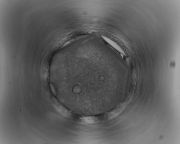 X0000102040417200808011515