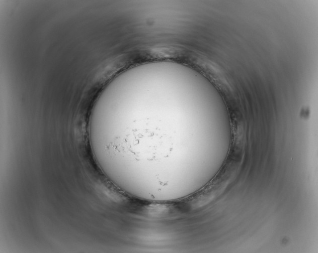 X0000102040418200808011515