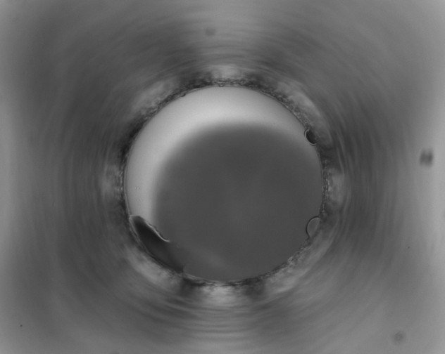 X0000102040419200808011515