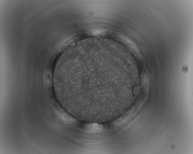 X0000102040421200808011514