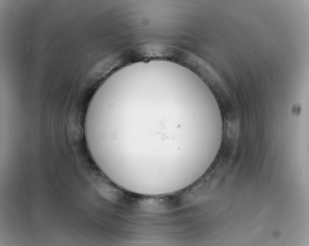 X0000102040422200808011514