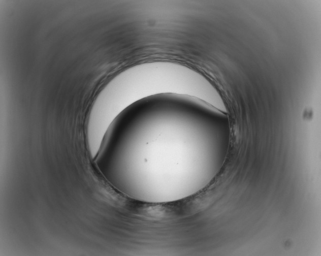 X0000102040423200808011514