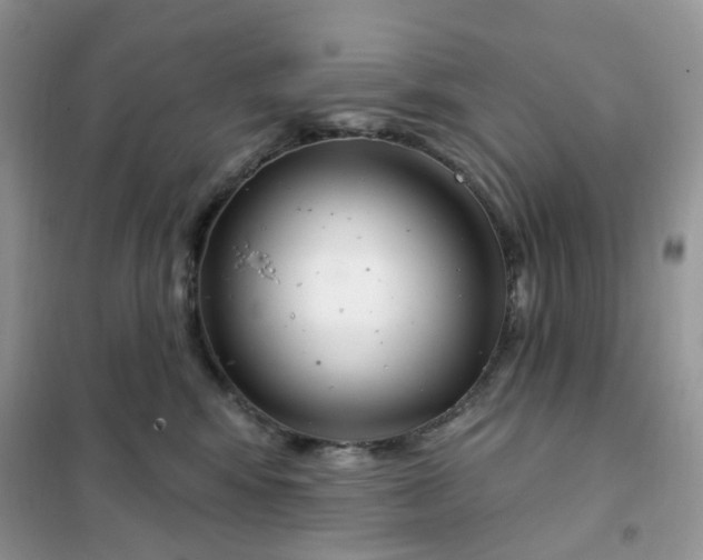 X0000102040424200808011514