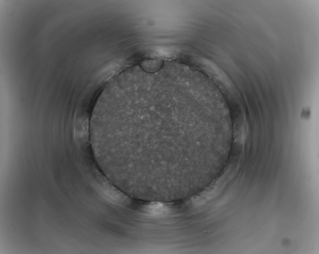 X0000102040425200808011514