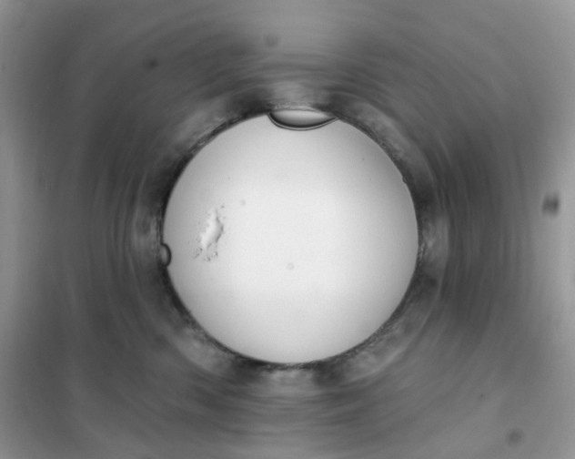 X0000102040426200808011514