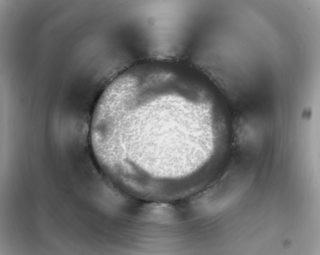 X0000102040427200808011514