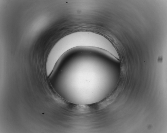 X0000102040429200808011514