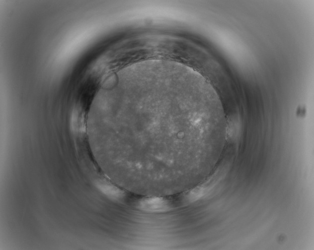 X0000102040431200808011514