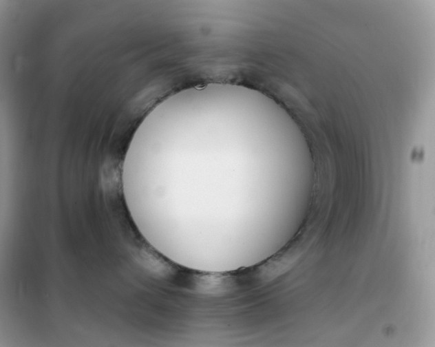 X0000102040432200808011514