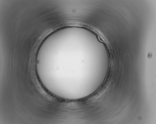 X0000102040433200808011514