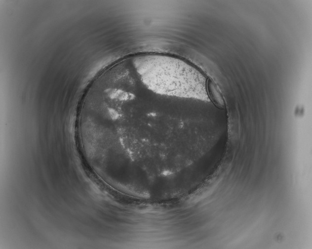 X0000102040434200808011514