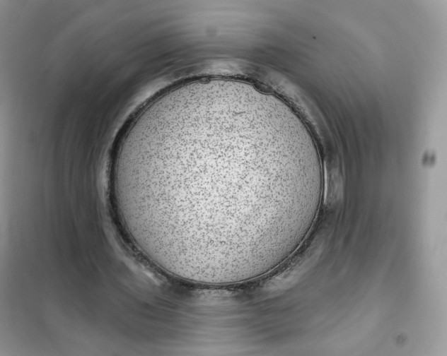 X0000102040435200808011514