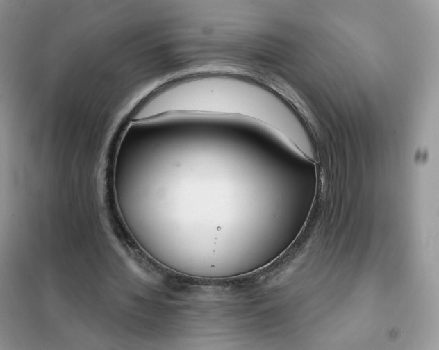 X0000102040436200808011514