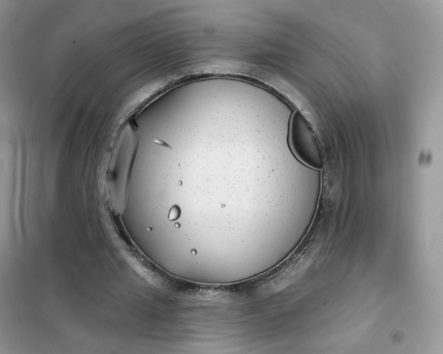 X0000102040437200808011514