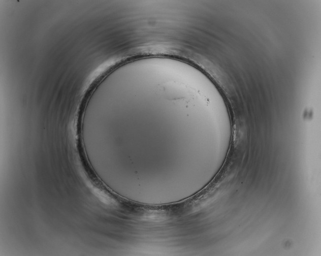 X0000102040438200808011514