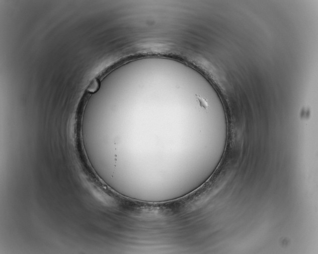 X0000102040439200808011514