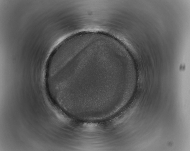 X0000102040440200808011514