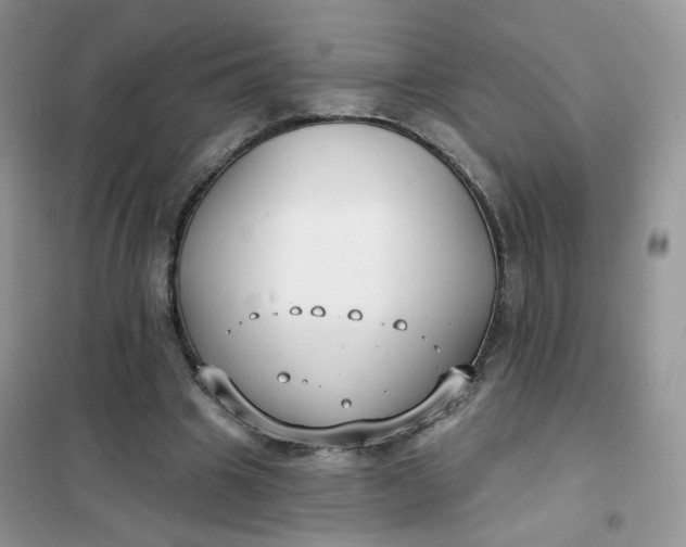 X0000102040441200808011514