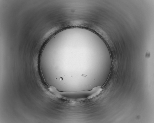 X0000102040442200808011514