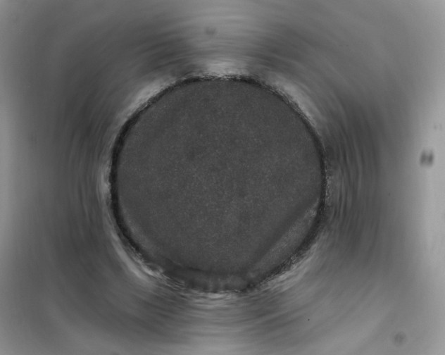 X0000102040443200808011514