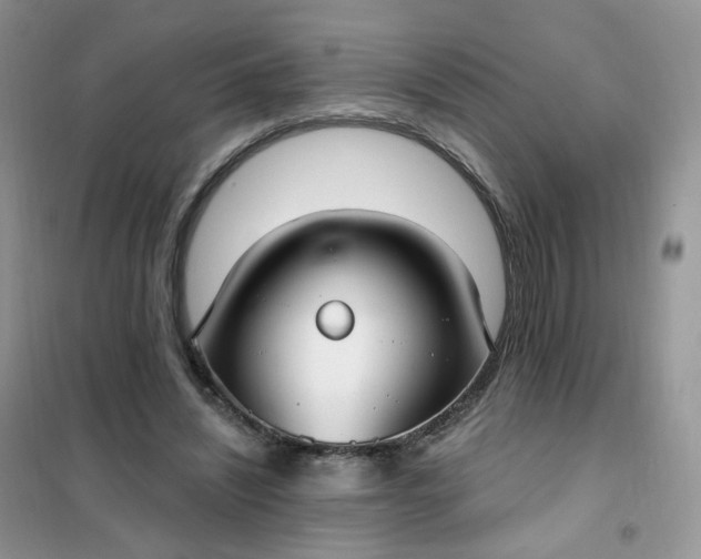 X0000102040444200808011514