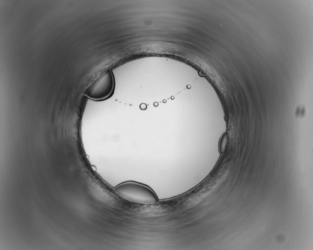 X0000102040445200808011514