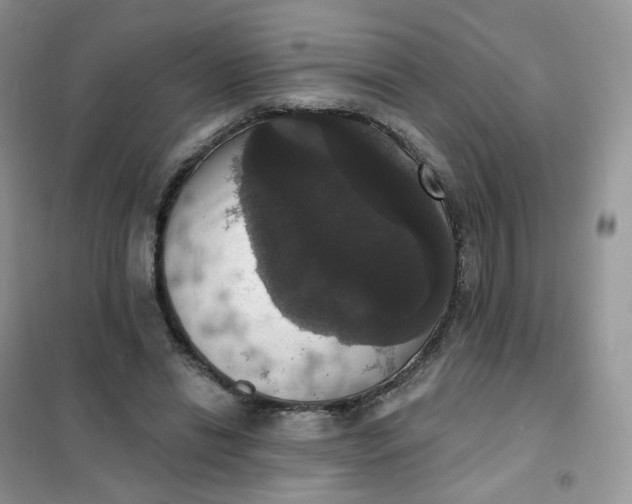 X0000102040446200808011514