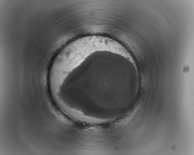 X0000102040447200808011514