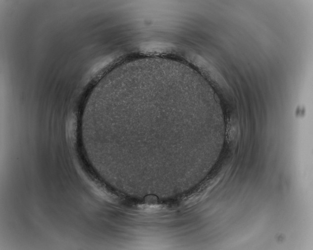 X0000102040448200808011514