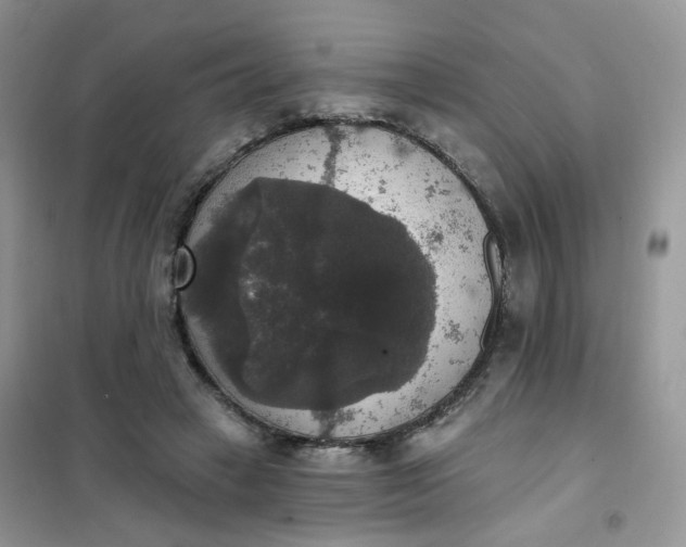 X0000102040449200808011514