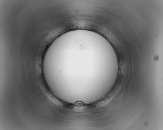 X0000102040450200808011514