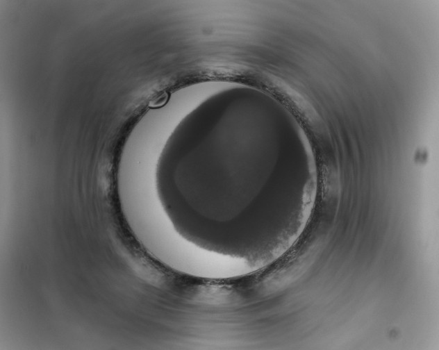 X0000102040451200808011514