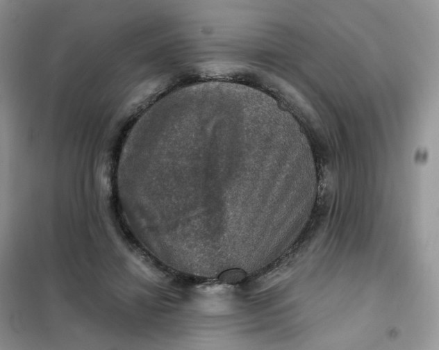 X0000102040452200808011514