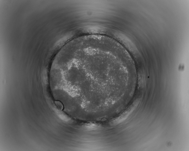 X0000102040453200808011514