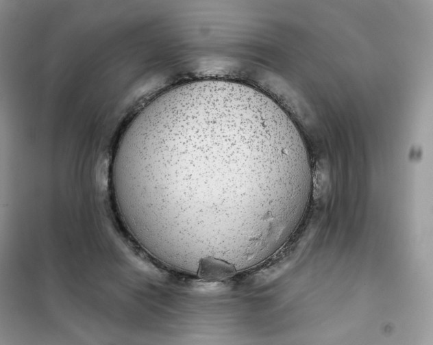 X0000102040454200808011514