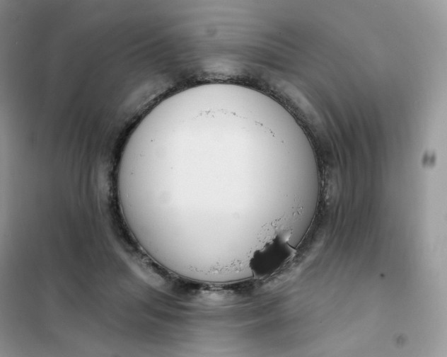 X0000102040455200808011514