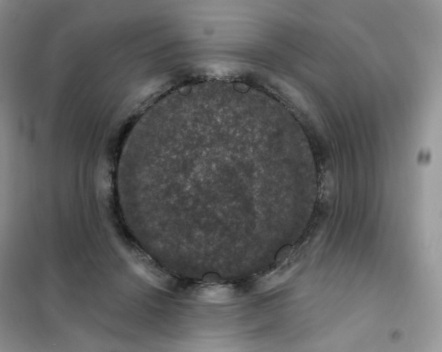 X0000102040456200808011514