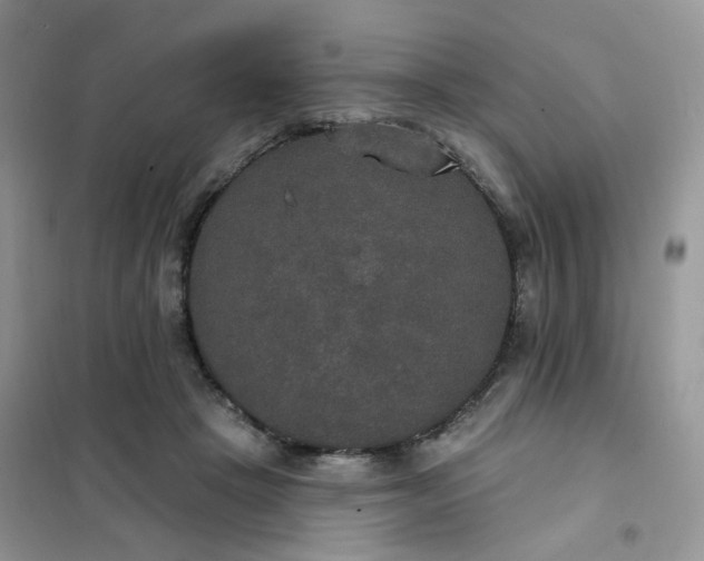 X0000102040457200808011514