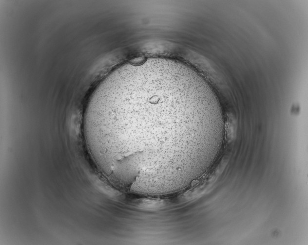 X0000102040458200808011514