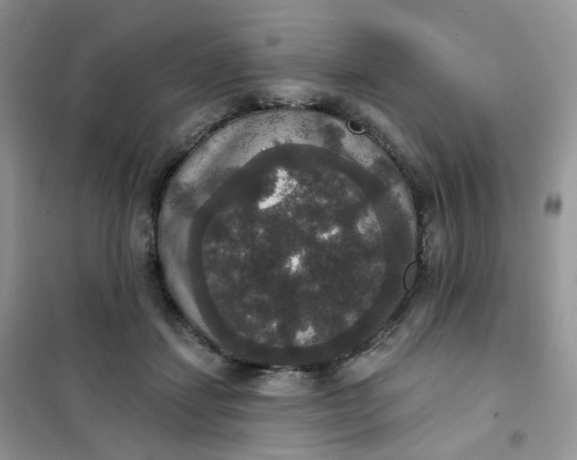 X0000102040459200808011514