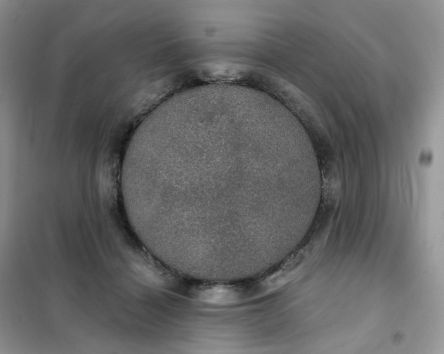 X0000102040460200808011514