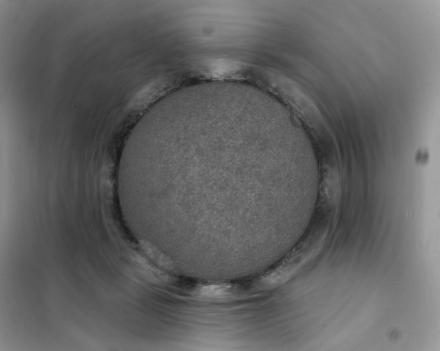 X0000102040461200808011514