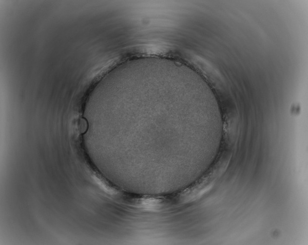 X0000102040462200808011514