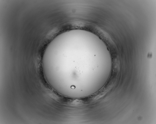 X0000102040463200808011514