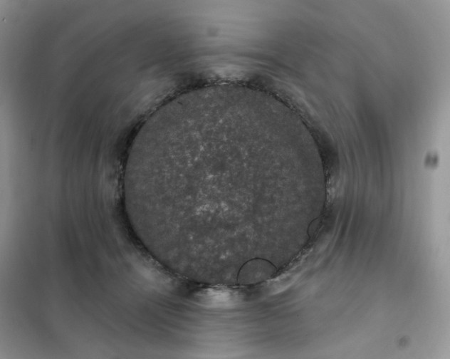 X0000102040464200808011514