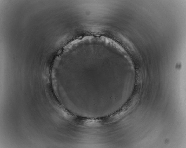 X0000102040465200808011514