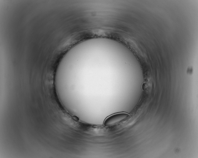 X0000102040466200808011514