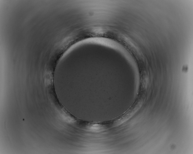 X0000102040467200808011514