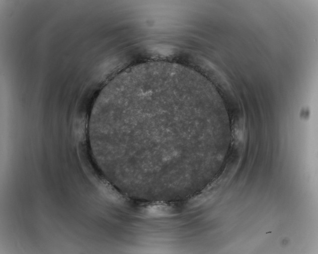 X0000102040468200808011514